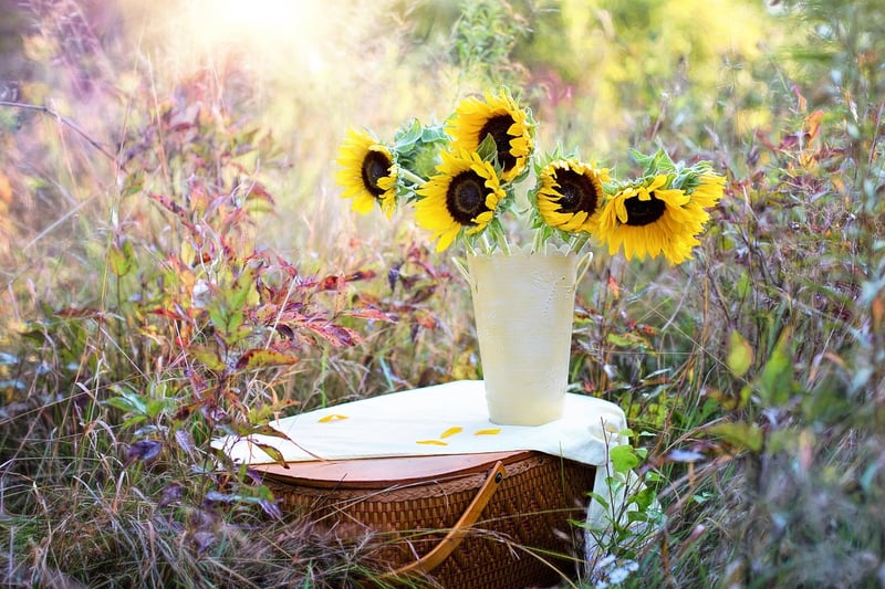Flowers in Hanging Pots